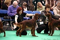 Crufts2011 136